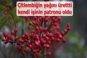 Çitlembiğin yağını üreten kadın çiftçi kendi işinin patronu oldu