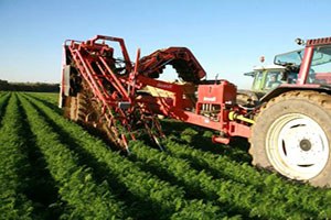 Tarım Sektöründeki Büyük Atılım Görmezden Geliniyor