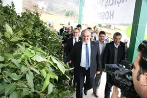 Karacabey e Defne Kurutma Tesisi Kuruldu