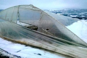 Kar Yağışı Seraları Vurdu