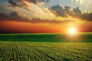 Türkiye ekonomisine 2014 te tarım damgasını vurdu