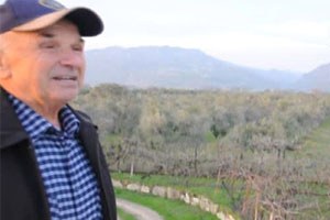 Aydın Arazilerinin Yakınına Fabrika İstemeyen Zeytincilerin Hukuk Zaferi