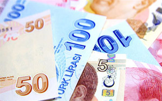 Tarımsal Destekler Başkent Çiftçisinin Yüzünü Güldürdü