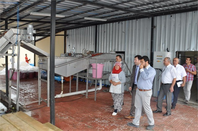 Tarımsal Sanayiye Kadın Eli Değdi