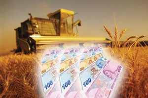 Tarım Müdürlüğü nden Destek Uyarısı