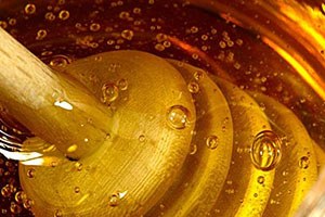 Sert Esen Sam Yeli Çam Balını Vurdu