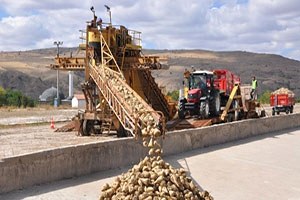Yozgat ta Pancar Hasadı Başladı