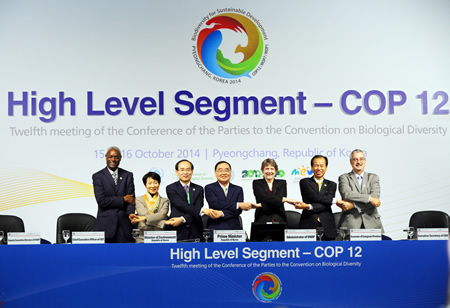 Çölleşme Tehdidi Masaya Yatırılıyor