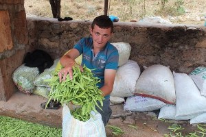 Beyşehir de Fasülye Etkinliği