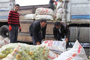 Iğdır da Organik Tarım Biyoçeşitlilik Arttı