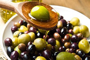 Kula da Organik Zeytincilik İçin İlk Adım