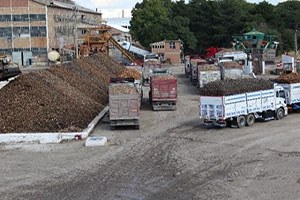 Malatya da Şeker Pancarı Alım Kampanyası Başladı