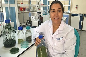 Yosunlu Yoğurt Ve Peynir Üretilecek