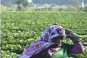 Menderes te Çiftçi Kadınlar Günü