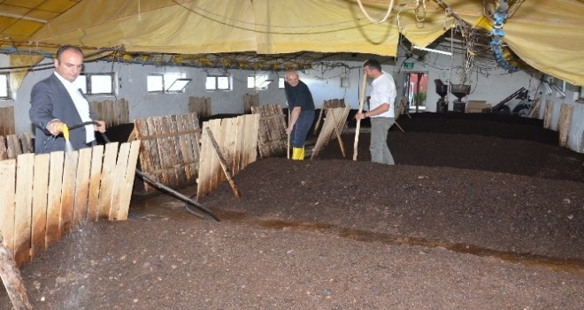 Organik Tarım İçin Solucan Gübresi Üretiyorlar