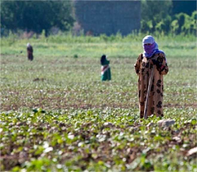 Dünya Kadın Çiftçiler Günü