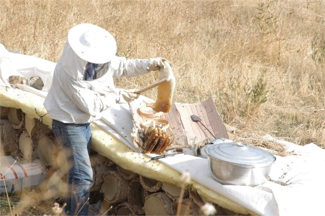 Hakkari nin Karakovan Balı Piyasaya Çıktı