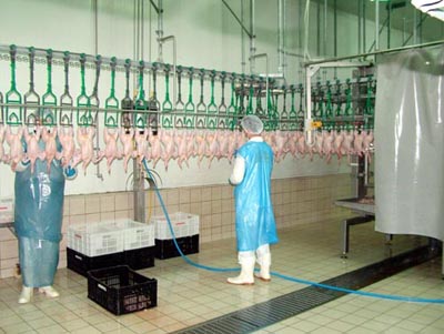 Kesimhanedeki Veterinerlere Bakanlık tan Eğitim