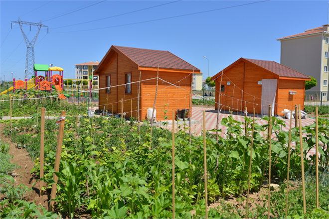 Hobi Bahçesi İçin Kura Çekimi