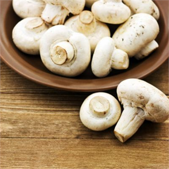 10 Türkiye Yemeklik Mantar Kongresi Adana da