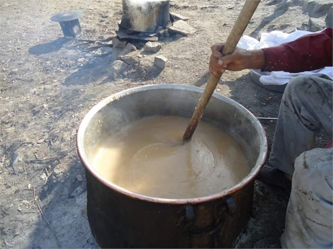 Bağ Bozumu Başladı