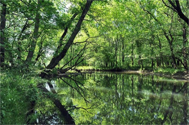 İğneada Projesi Danıştay dan Durduruldu