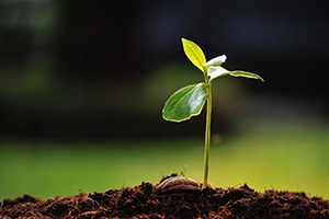 Bakanlıktan Kayseri Tarımına Ödül