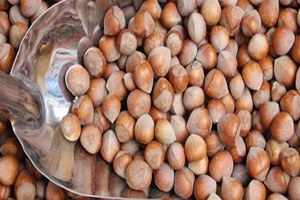 Fındık Üreticilerine Destekleme Müjdesi