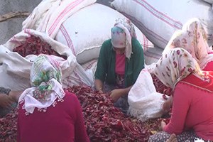 700 Liralık Mikrokredi Yaşamını Değiştirdi Şimdi Para Dağıtıyor