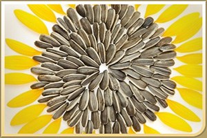 Ayçekirdeği Fiyatları Üreticinin Yüzünü Güldürmedi