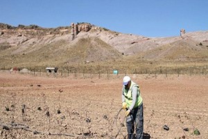 Büyükşehir Kızılinler de 26 Bin Ağaç Yetiştirilecek