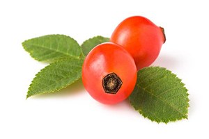 Tosya da Kuşburnu Pazara İndi