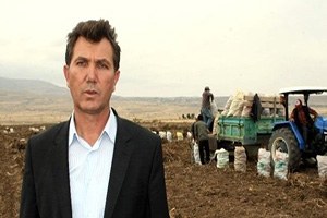 Niğde Lahana Üretiminde İkinci Sırada