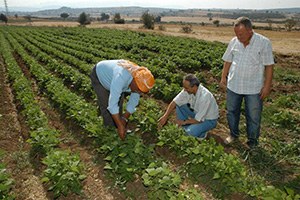 Tarımsal Danışmanlık Sınavı na başvurular başladı