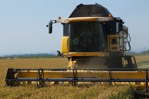 TZOB dan TMO ya Çeltik Çağrısı