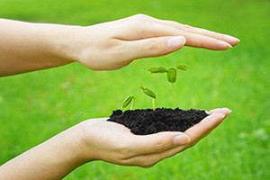 Bayramiç te Üreticilere Tohum Desteği