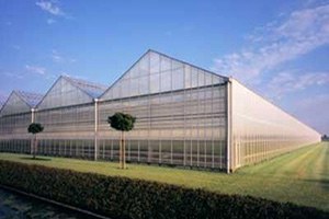 Yayla Seracılığı Çiftçiyi Güldürdü