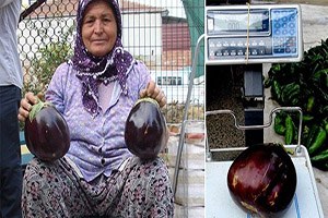 Hormonsuz Da Oluyormuş