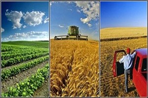 Organik Tarım ve İyi Tarım Uygulamaları Desteği Ödemeleri Yapılmaya Başlandı