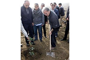 Karabük te Trüf Mantarı Yetiştirmek İçin 150 Meşe Fidanı Dikildi