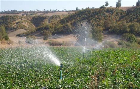 Siverek te Alternatif Tarım Uygulamaları