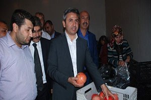 Almanya ya Nar İhracatı