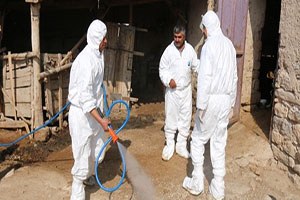 Şap Hastalığı Tam Zamanlı Saha Tatbikatı Yapıldı