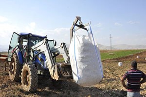 Türkiye nin Patates Tohumu Afşin den