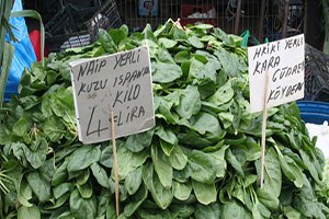Yeni Mahsul Ispanak Tezgahta 3 TL den Fiyat Buldu