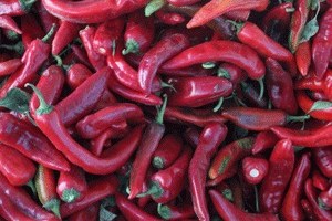 Karaisalı nın Özgürlüğü Biber