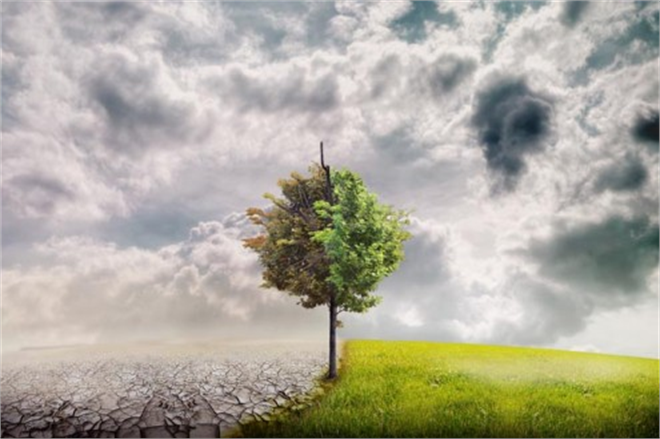 Türkiye nin İklim Planı Endişe Verici