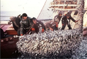 Keban da Elazığ ın Su Ürünleri Sorunu Toplantısı