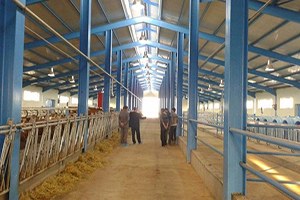 IPARD Kapsamında Ahır Yapımı Gerçekleşiyor