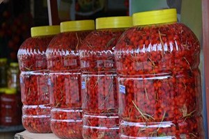 Gilaboru İçme Zamanı Geldi